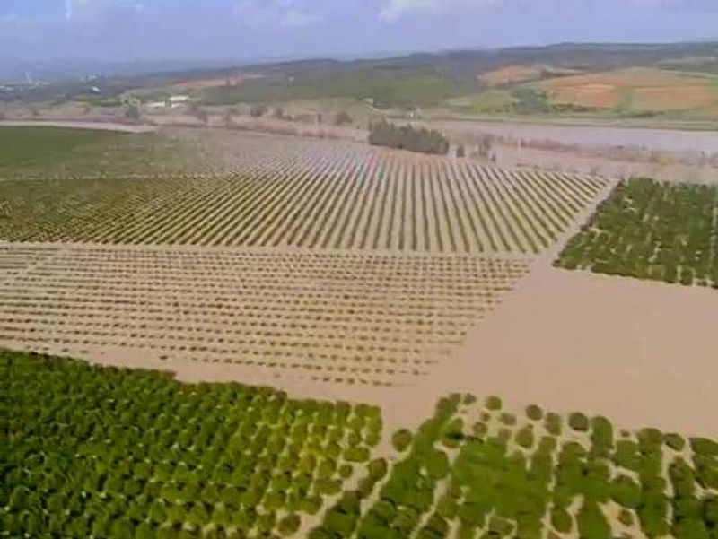 Noticias Andalucía (25/02/10)