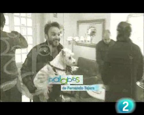 Palabra por palabra - Fernando Tejero