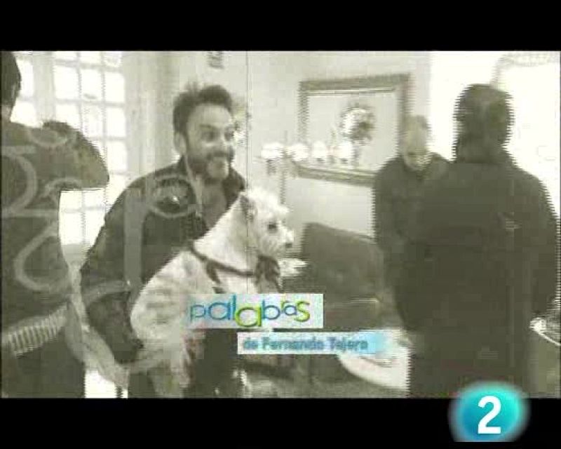 Palabra por palabra - Fernando Tejero - Palabra por palabra | Ver