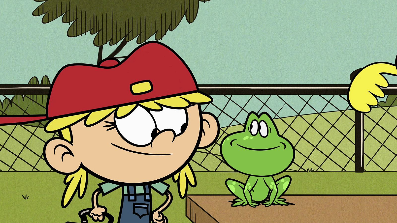 Día de entrenamiento - Una casa de locos | Ver