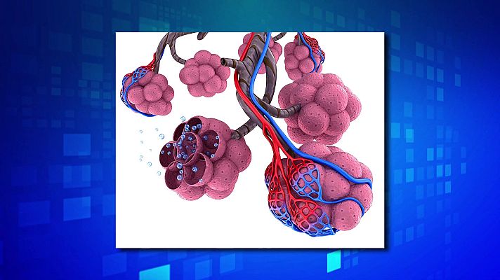 Saber y ganar - Saber y ganar - 04/01/24