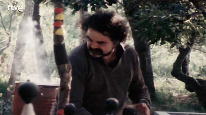 Vostè pregunta - Reportatge pel programa sobre Josep Guinovart