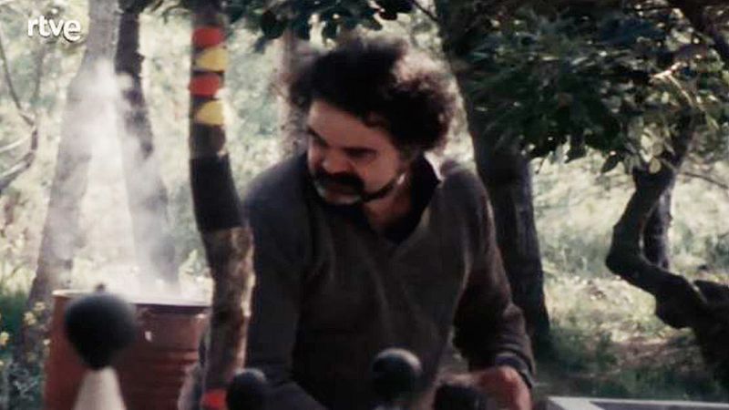 Arxiu TVE Catalunya - Vostè pregunta - Reportatge pel programa sobre Josep Guinovart - Veure ara