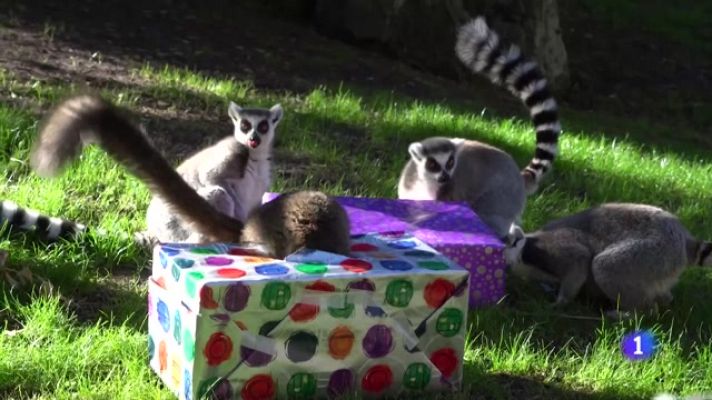 L'informatiu - Comunitat Valenciana - L'Informatiu de la Comunitat Valenciana 2 - 05/01/24