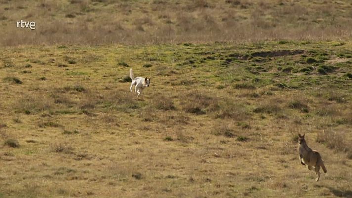 Siete mundos, un planeta: cómo se hizo - Localizaciones en Australia