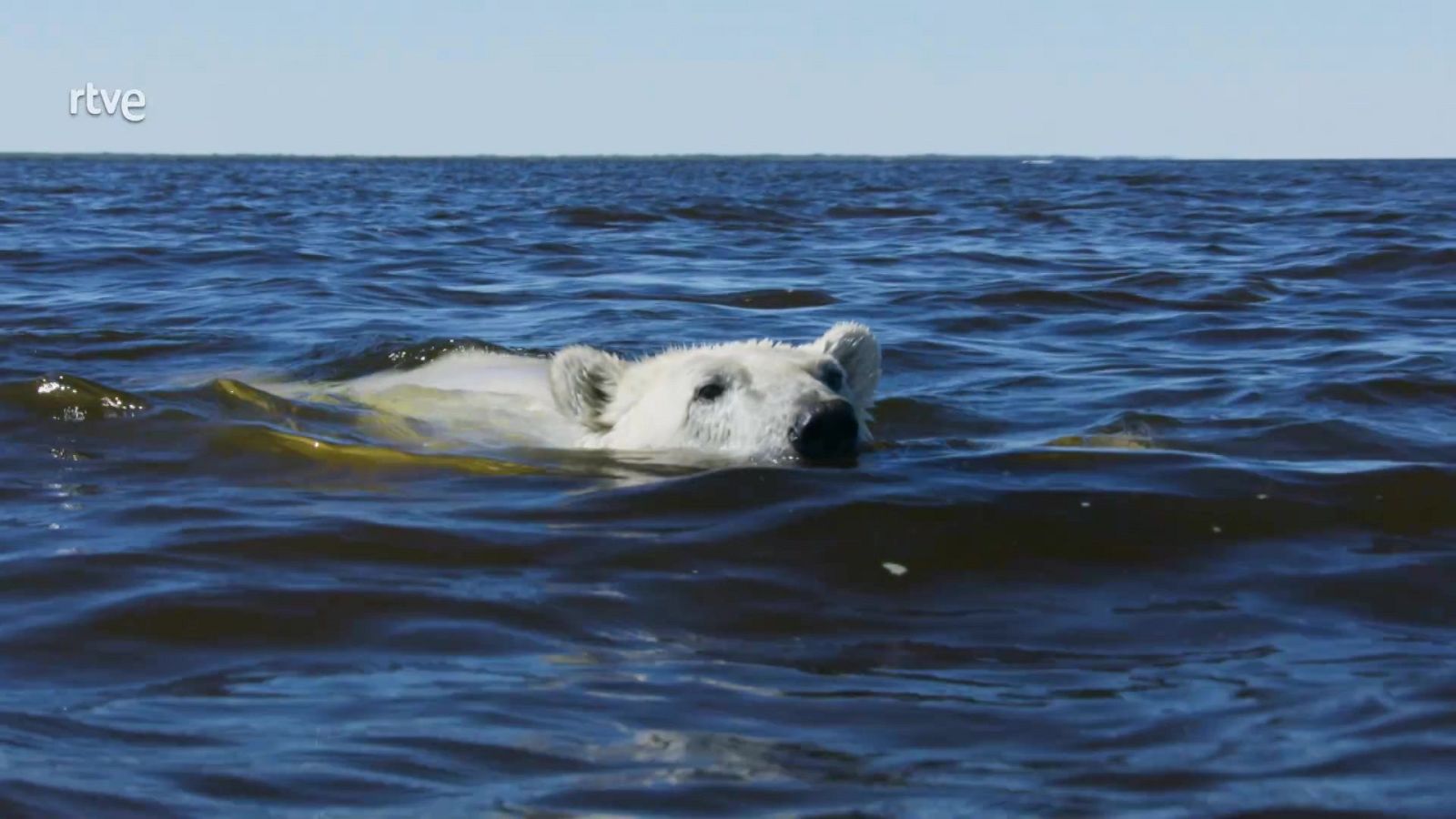 Siete mundos, un planeta: Cómo se hizo - Episodio 7: Localizaciones en Norteamérica - ver ahora