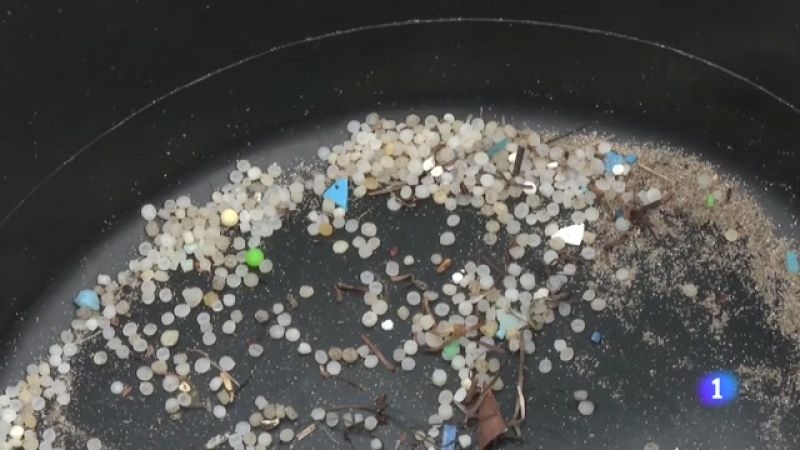 Panorama Regional 2 - 08/01/2024 - Ver ahora