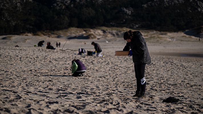 Telediario 1 - Gobierno y Xunta cruzan reproches sobre los vertidos de pellets