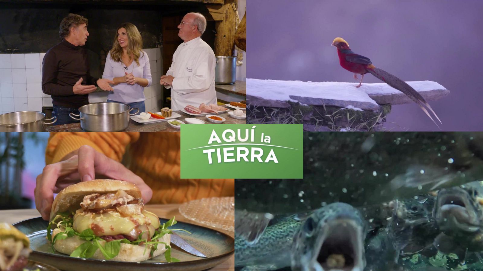 Aquí la Tierra - 08/01/24 - ver ahora