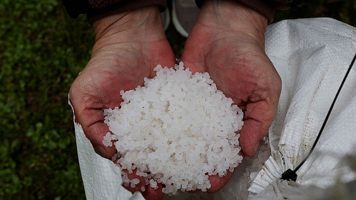 Informativo 24h - Informativo 24 horas - 20h - 08/01/24