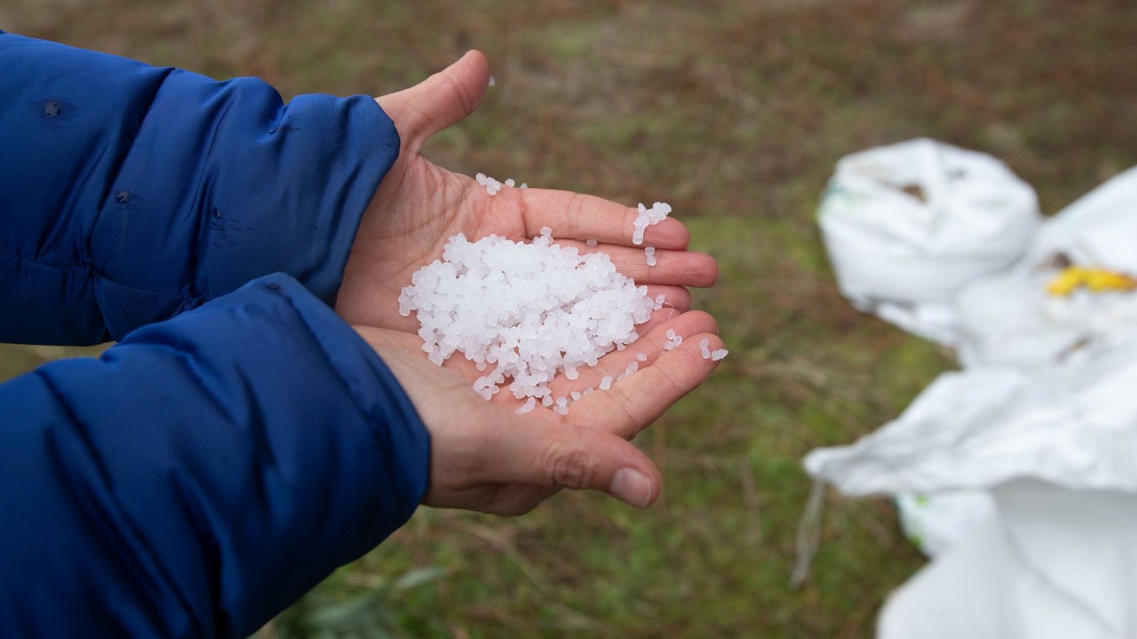 El vertido de pélets en la costa norte agita la precampaña en Galicia