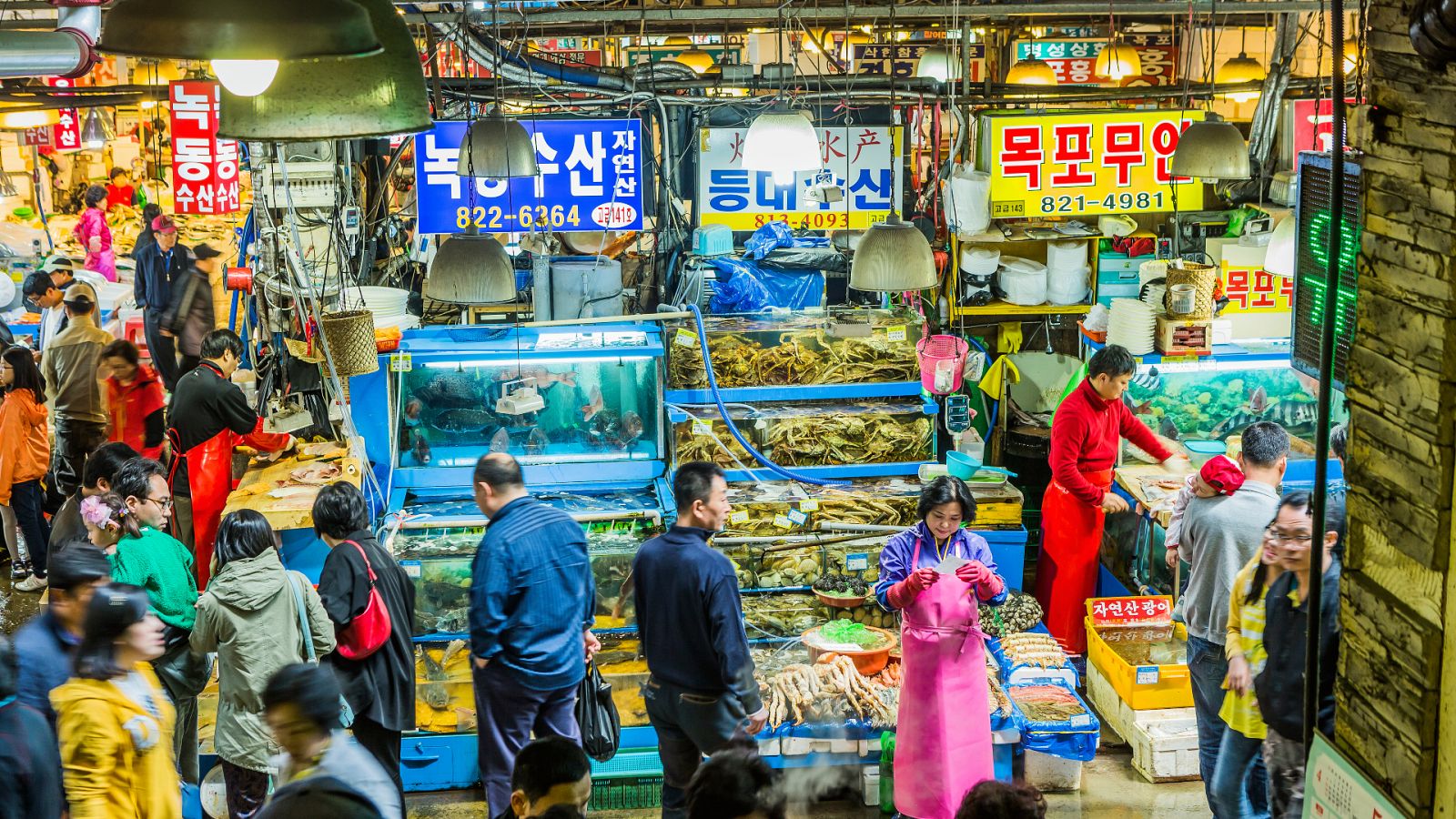 Corea del Sur prohíbe el consumo de carne de perro | Ver