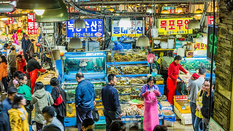 Corea del Sur prohíbe el consumo de carne de perro