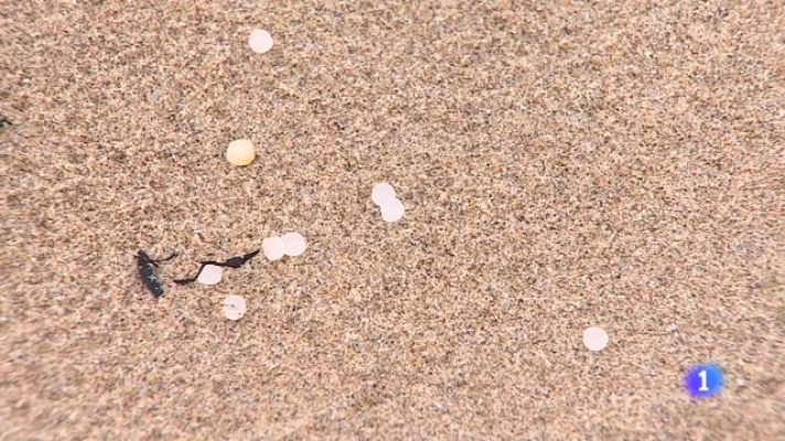 Panorama Regional - Asturias en 2' - 09/01/24