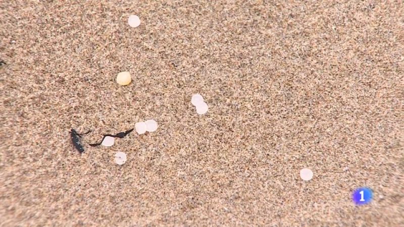 Asturias en 2' - 09/01/2024 - Ver ahora