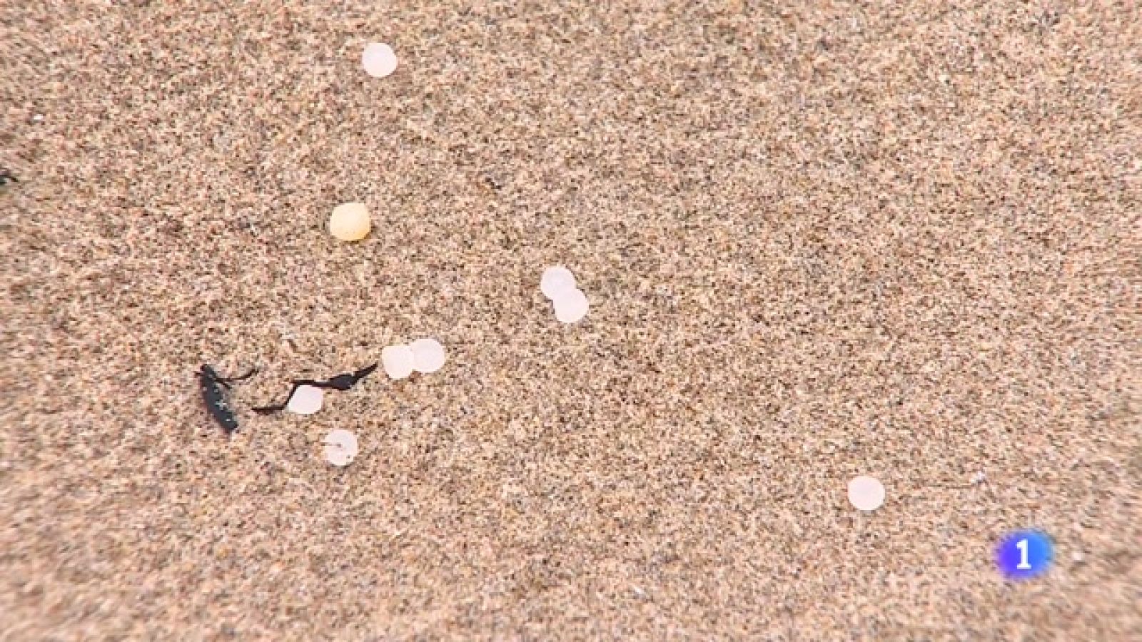 Panorama Regional 2 - 09/01/2024 - Ver ahora