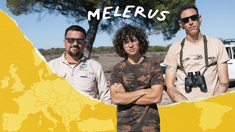 (IN)Voluntarios - Programa 2: Melerus de voluntariado en Doñana