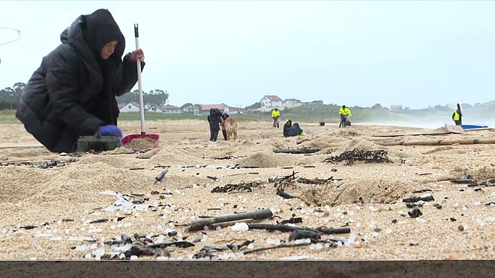 Informativo 24h - Informativo 24 horas - 20h - 09/01/24