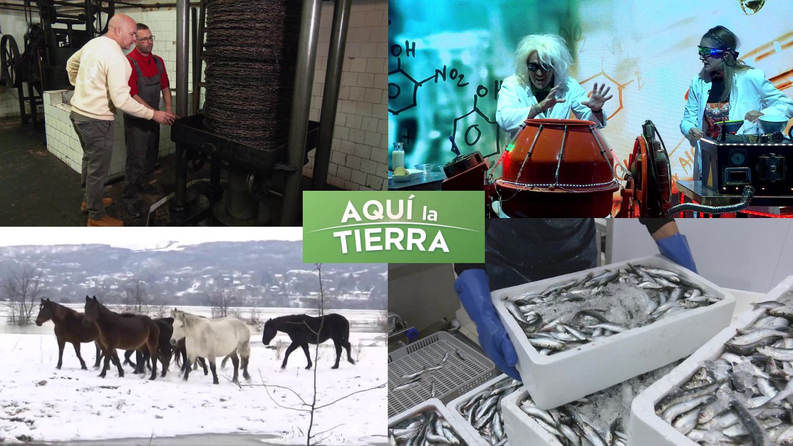 Aquí la Tierra - 09/01/24 - ver ahora