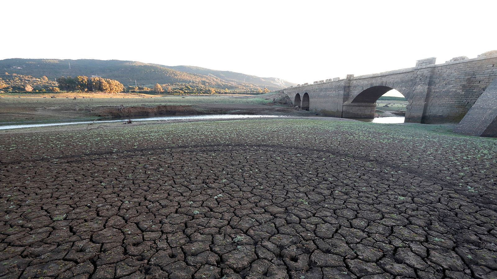 El campo de Gibraltar sufre restricciones de agua ante la sequía