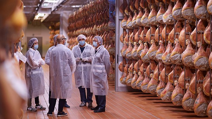 Stanley Tucci. Recorriendo Italia - Bolonia