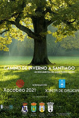 El camino de invierno a Santiago