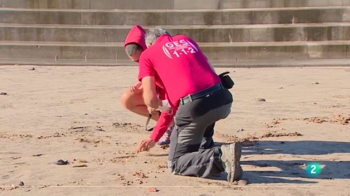 Telecanarias - Telecanarias 2 - 10/01/2024