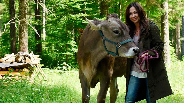 Cine internacional - Más que amigos