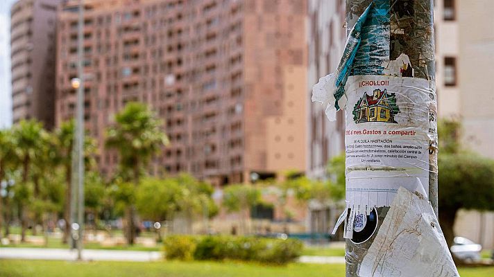 Telediario 1 - Tener hijos o mascotas, un inconveniente a la hora de alquilar una vivienda