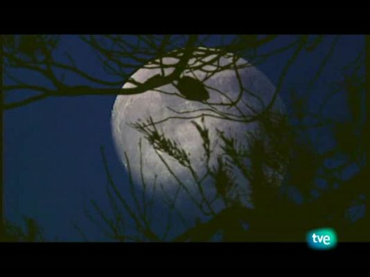 Jara y sedal - La hora de la patirroja