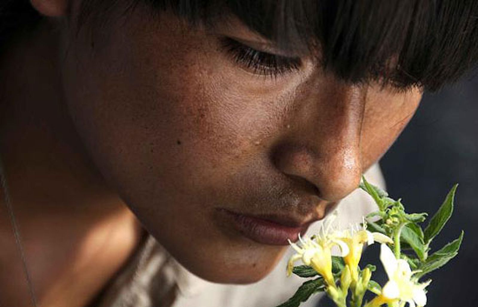 'La teta asustada' en Versión Española | Ver