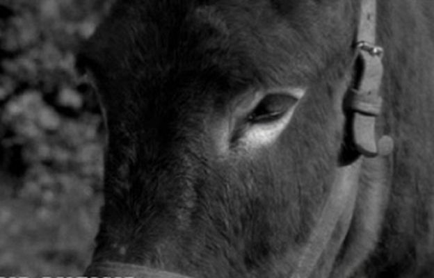 Tengo una pregunta para mí - Tengo una pregunta para mí - 01/03/10