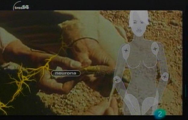 tres14 - Curiosidades