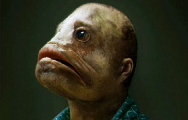  - Publicidad para reflexionar