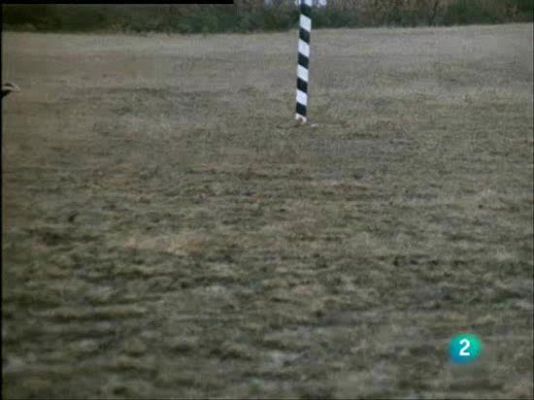 El hombre y la Tierra - Tejón o liebre no son tan veloces