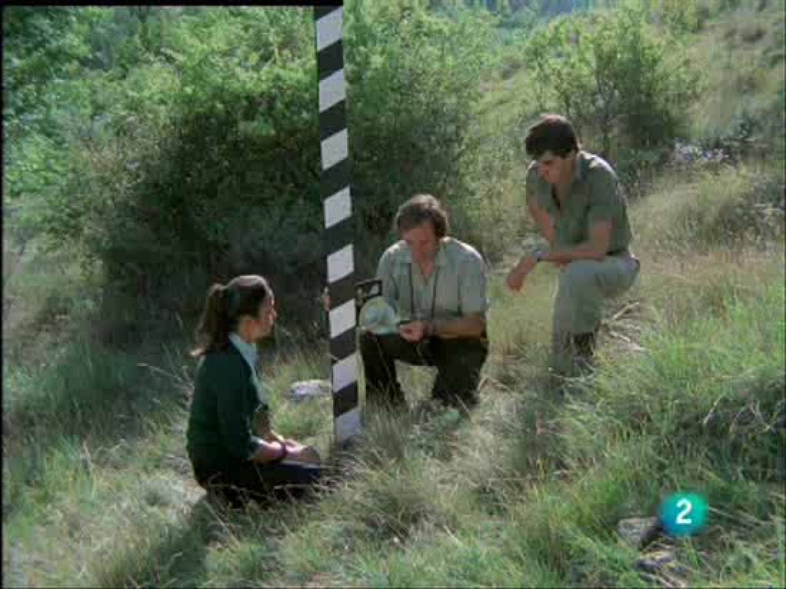 El lobo, veloz y hábil. Aunque tenga que moverse en zonas agrestes y escarpadas, es uno de los  más veloces en ese terreno, donde se desenvuelve sin ninguna dificultad.