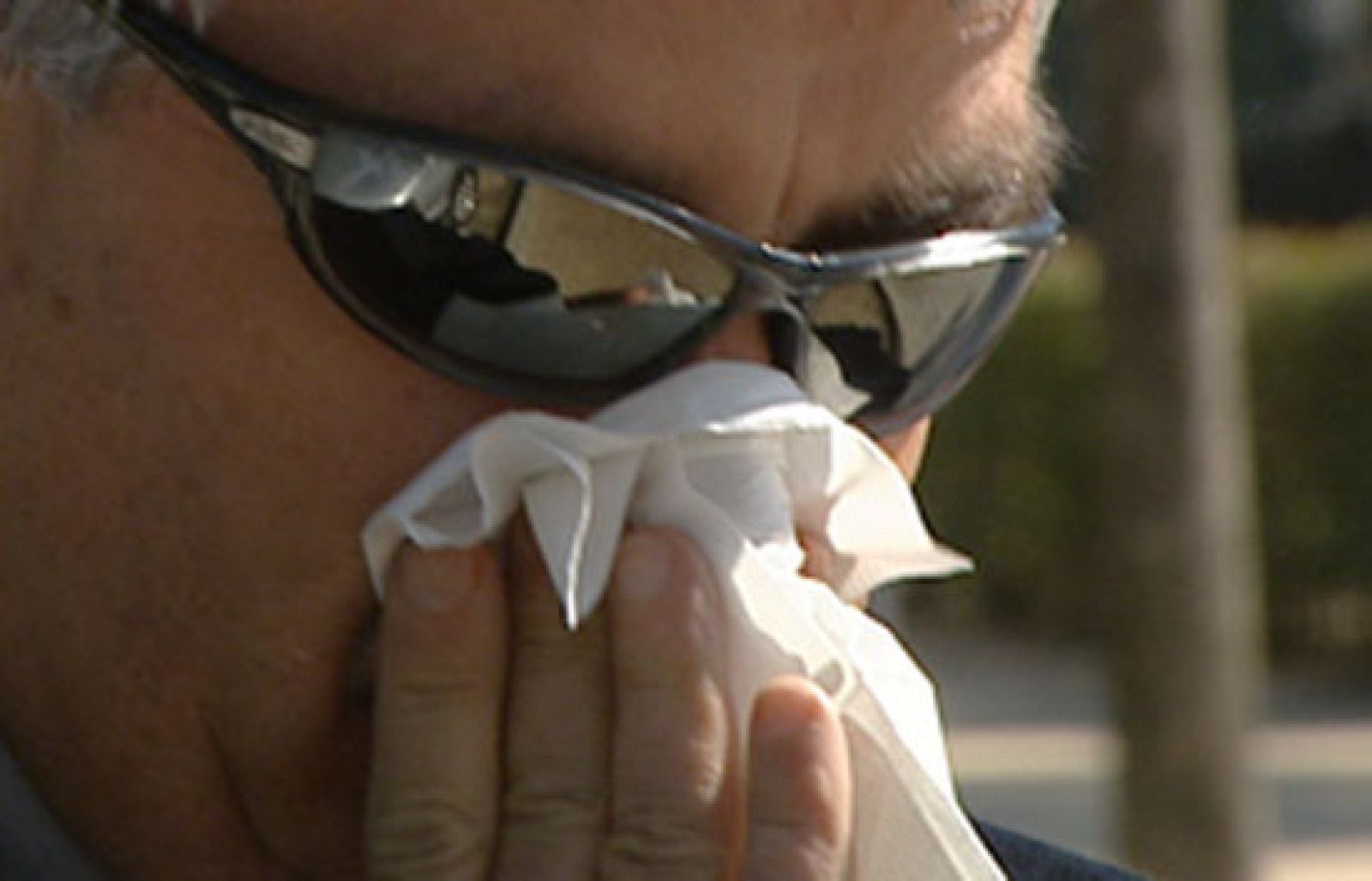 Esta primavera los alérgicos sufrirán más | Ver