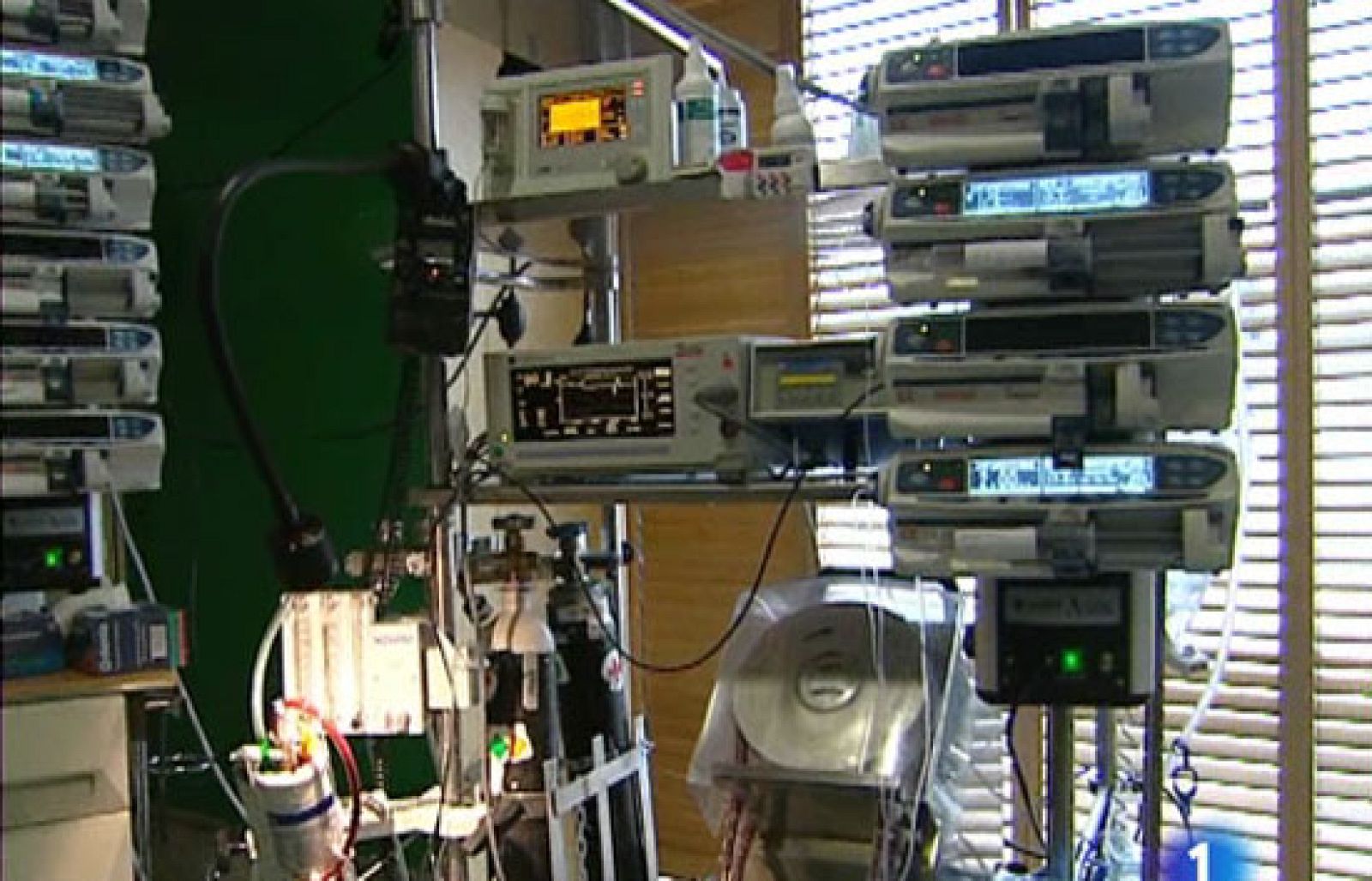 Uno de cada cuatro niños necesitan un trasplante de corazón