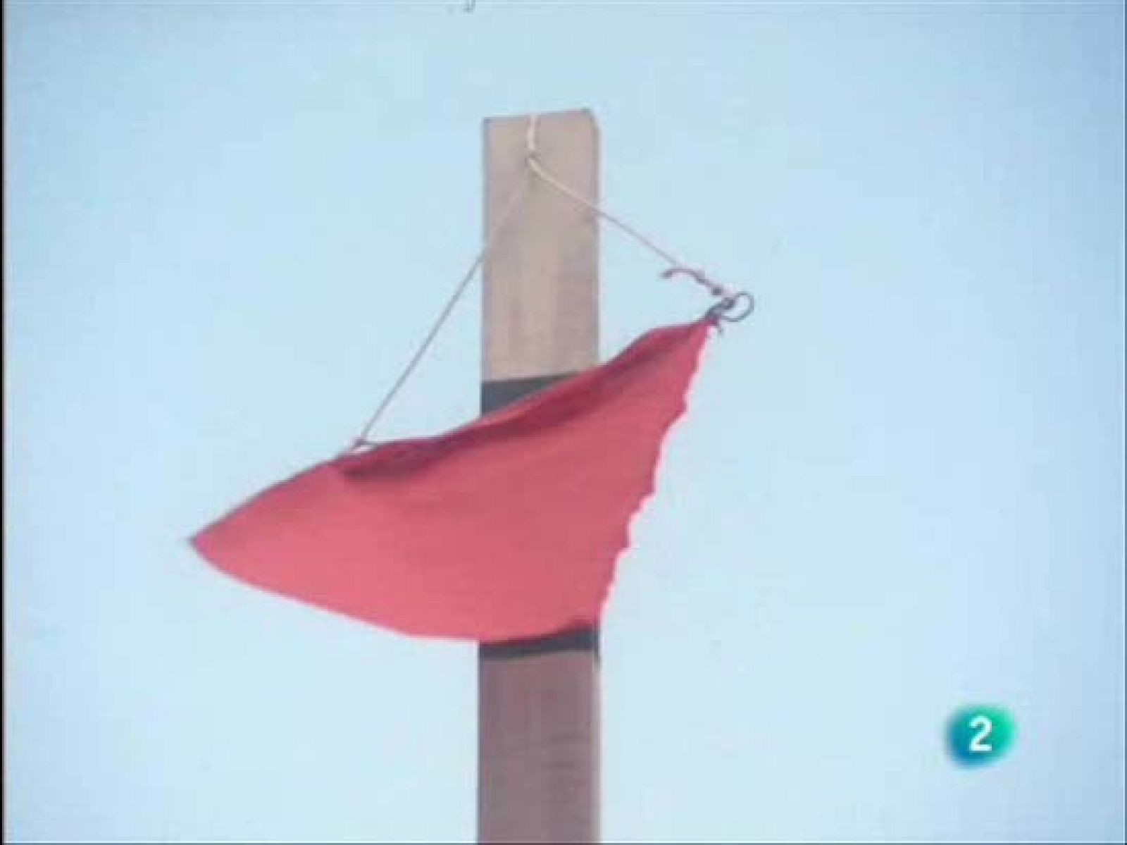 Debido a sus pequeñas patas, el erizo sólo recorre 1 kilómetro después de una hora caminando. Pero no le hace falta ser más veloz, porque gracias a sus afiladas púas, pocos animales se atreven a molestarle.