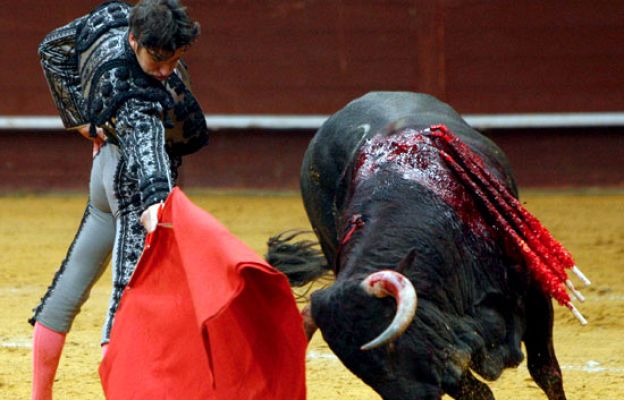  - Sigue la polémica de los toros