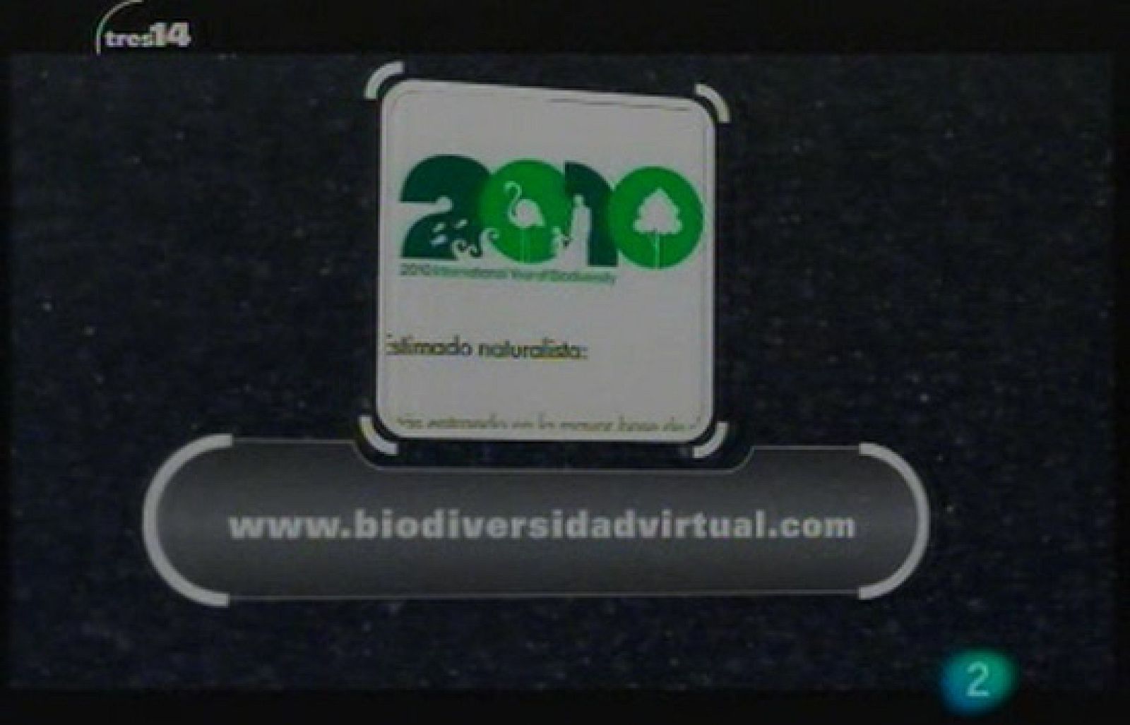 Libros y webs (vida)