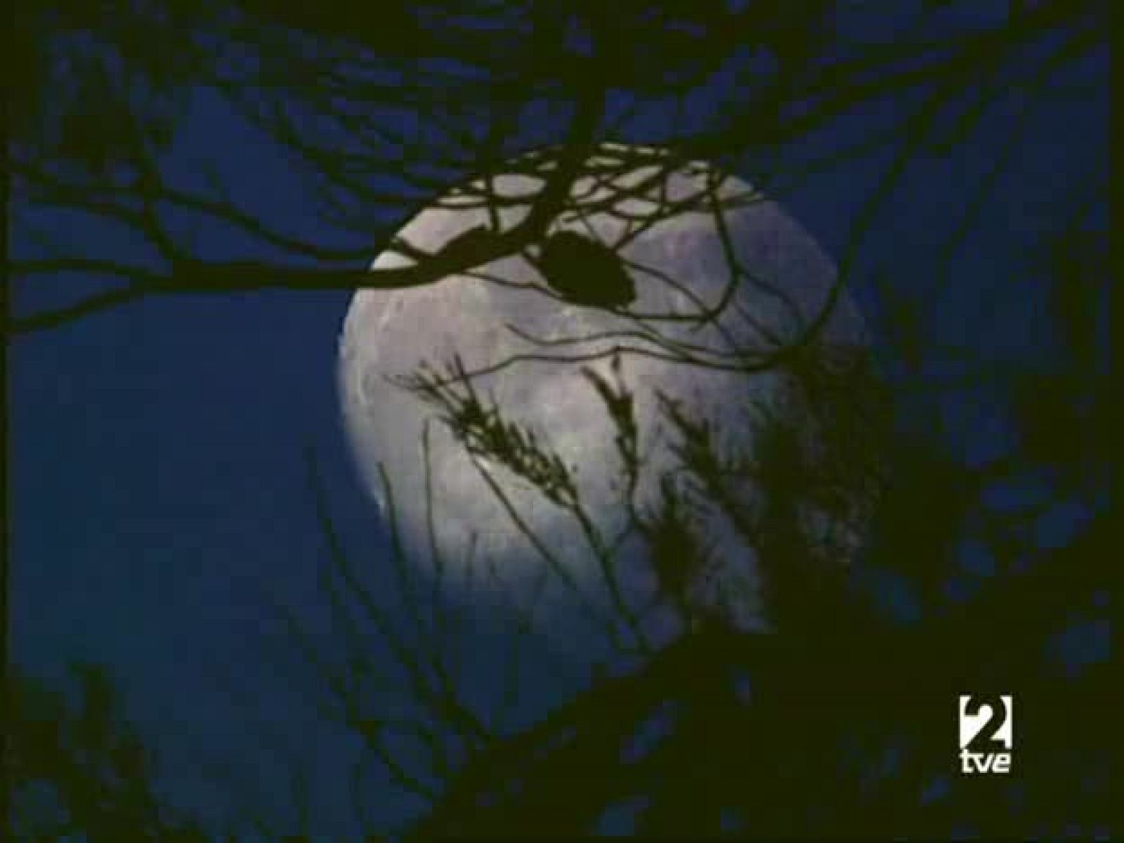 Jara y sedal - 09/05/08 - Jara y sedal | Ver