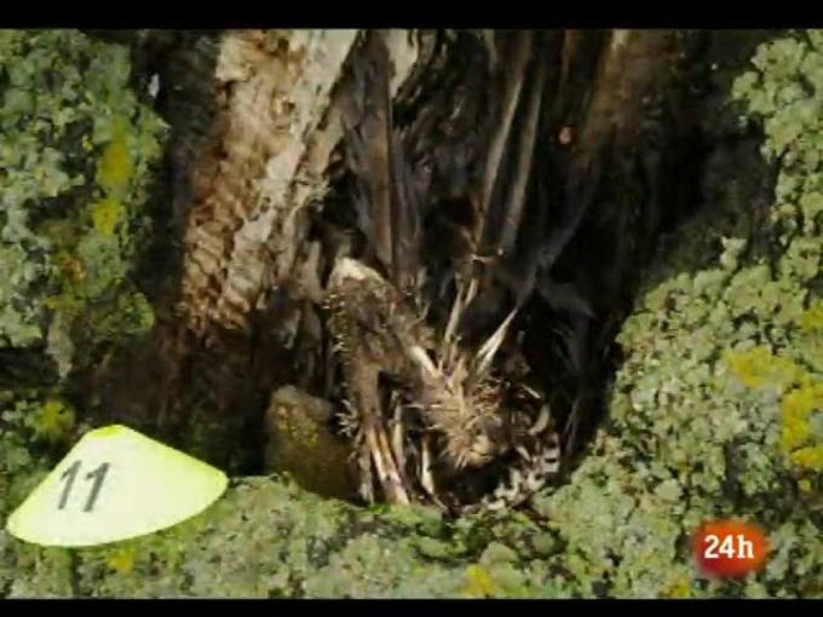 NATURAL: El último viaje. (12/03/10)