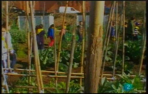 Terra Verda - Horts urbans