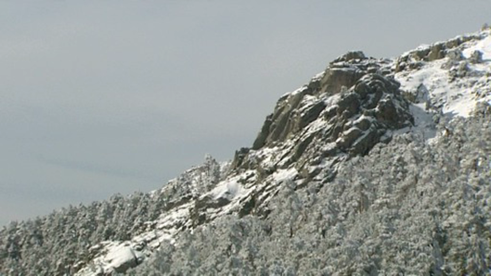 El escarabajo verde: Sierra amada, sierra atada (avance)