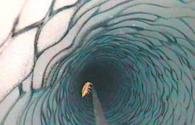 Ciencia y tecnología en Rtve.es - Sorpresa a 200 metros bajo el hielo