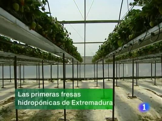 Noticias de Extremadura - Noticias de Extremadura - 17/03/10