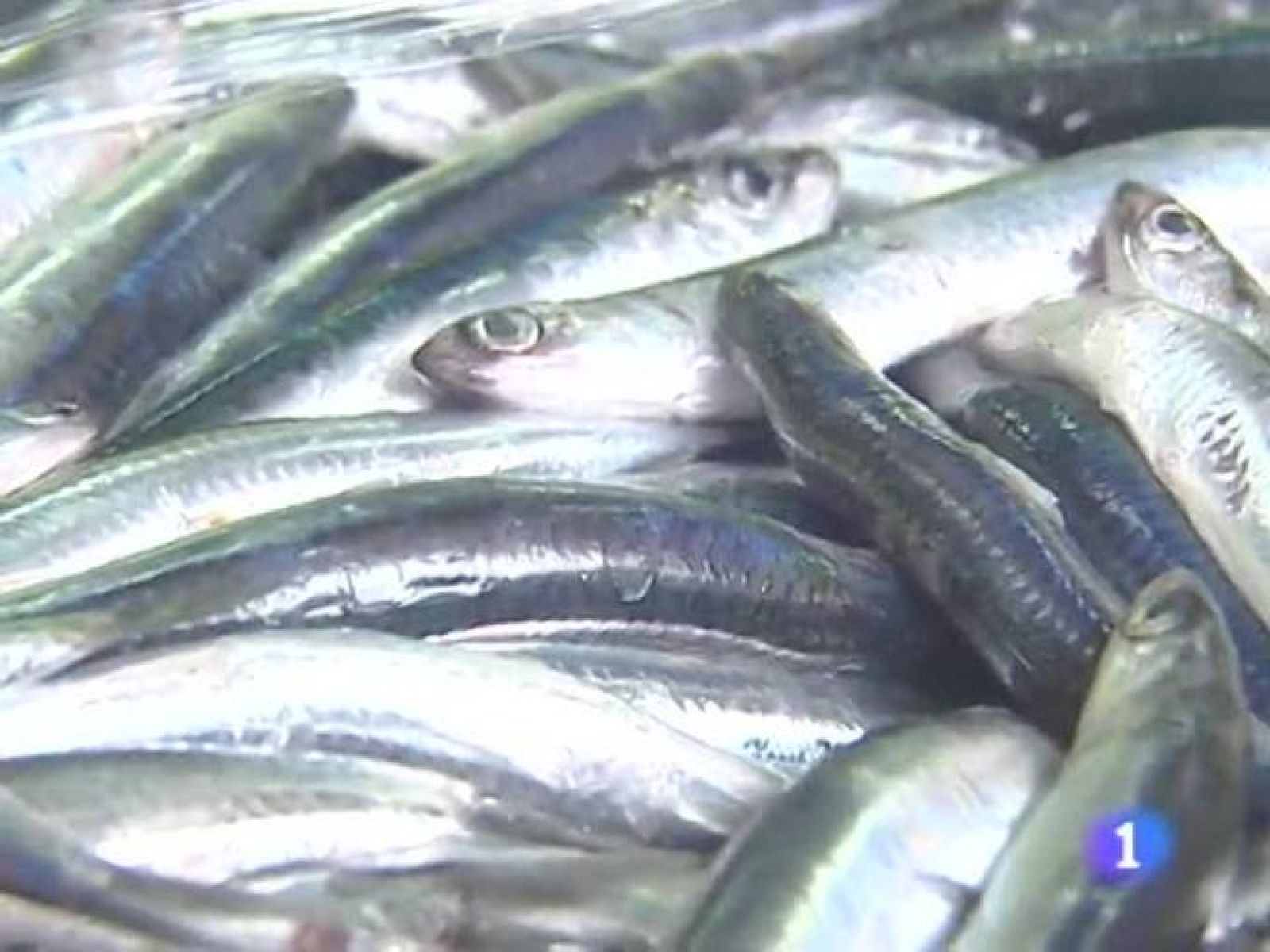 Telecantabria. (18/03/10)