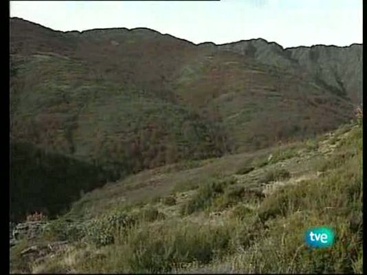  - El hayedo de Tejera Negra