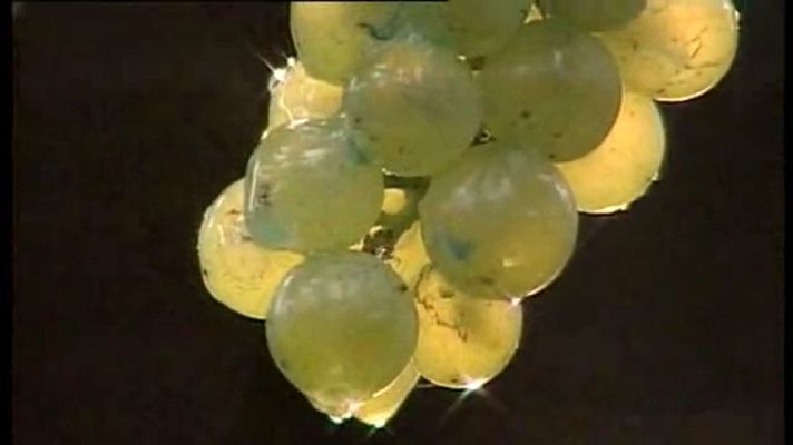 A pedir de boca - Vinos Rías Baixas